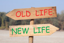 Image result for life expectancy of housecats over 15 years