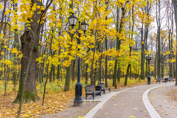 Wall Mural - Landscape of city park in autumn day. Footpath with lanterns and benches against golden trees