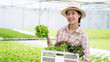 Asian young cute farmer girl holding basket of green salad vegetables in organic hydroponic farm.