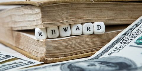 Word reward written in wooden blocks in book