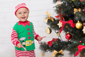 Wall Mural - Cheerful baby elf with lollipops laughing near Christmas Tree