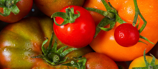 Wall Mural - Food composition from fresh tomato varieties close-up with drops of water