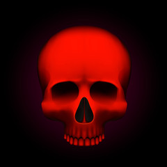 Wall Mural - Human skull isolated on black, color red object.