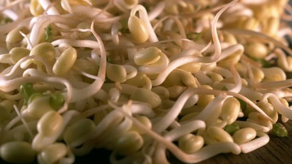 Wall Mural - Close up Organic mung bean sprout for food