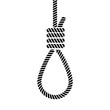 Rope loop noose icon. Vector rope hangman line illustration