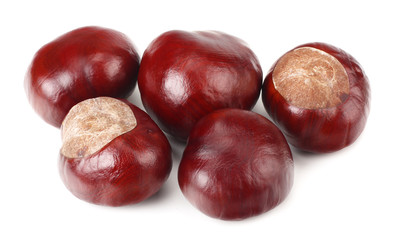 Wall Mural - chestnuts isolated on a white background. Healthy