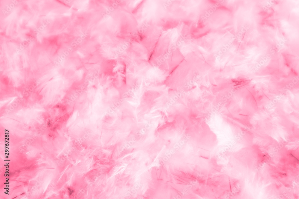 Beautiful abstract light pink feathers on white background,  white feather frame on pink texture pattern and pink background, love theme wallpaper and valentines day, white gradient - obrazy, fototapety, plakaty 