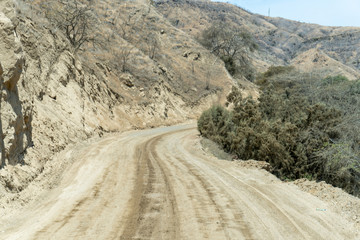 Wall Mural - road in the desert