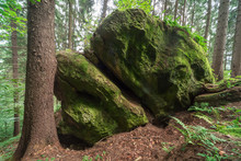 Big Stone In The Forest In The Mountains