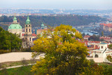 Fototapeta Miasto - Autumn Prague City with colorful Trees from the Hill Petrin, Czech Republic