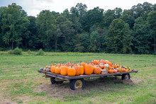 Pumpkins On Wagon