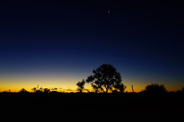 Wall Mural - Orange and black sunset view over trees in Kalbarri National Park in the Mid West region of Western Australia