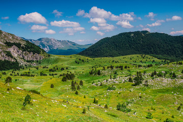 Sticker - landscape in the mountains