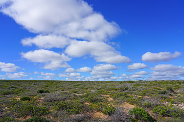 Wall Mural - View of the coastal cliffs Kalbarri National Park in the Mid West region of Western Australia.