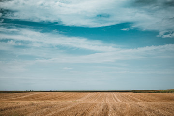 Sticker - Field and sky