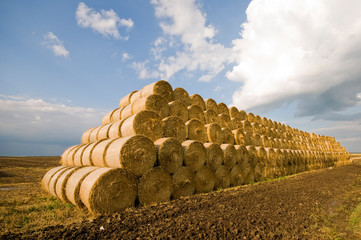 Sticker - bales of hay