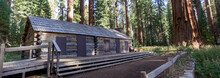 Yosemite Fall 2019