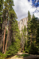 Canvas Print - Yosemite Fall 2019