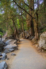 Wall Mural - Yosemite Fall 2019