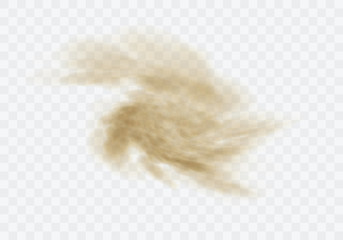 Wall Mural - desert sandstorm, brown dusty twisted or swirling vortex cloud banner or dry sand flying with gust o