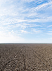 Sticker - black agriculture field and blue sky with clouds