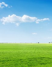 Green Grass Agriculture Field And Blue Sky With Clouds Over It