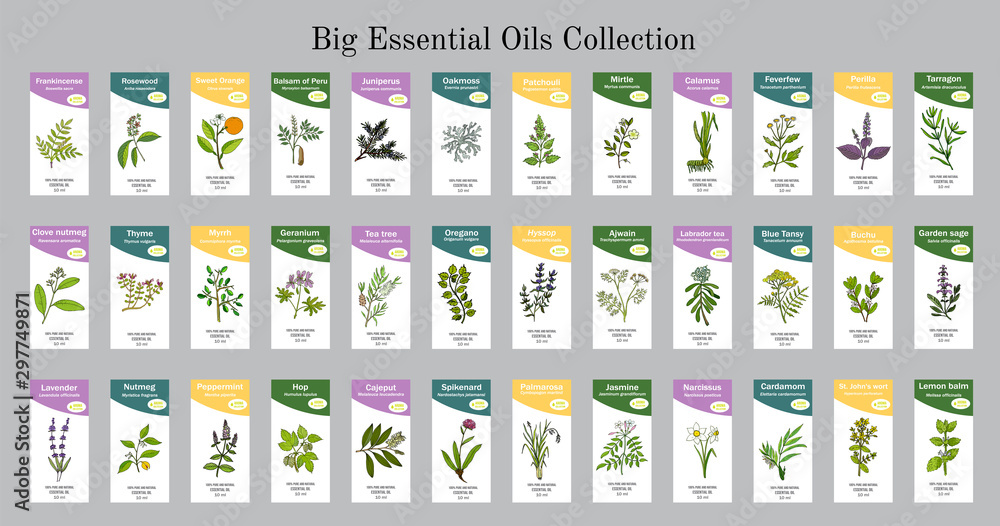 Big set of essential oil labels - obrazy, fototapety, plakaty 