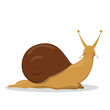 © inspiring.team - Garden brown snail. Idea of slow animal, creature.