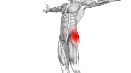 Conceptual hip human anatomy with red hot spot inflammation articular joint pain for leg health care therapy or sport muscle concepts. 3D illustration man arthritis or bone sore osteoporosis disease