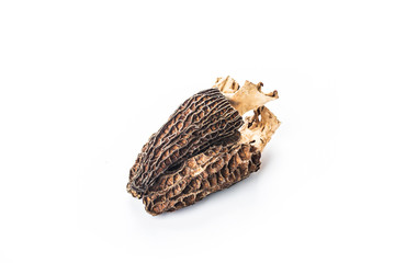 Poster - Morel mushroom isolated on white background