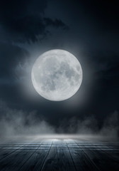 dark forest. gloomy dark scene with trees, big moon, moonlight. smoke, shadow. abstract dark, cold s