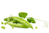 Fototapeta Mapy - Fruits of green peas on white background.
