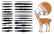 Animal fur texture brush strokes, design elements
