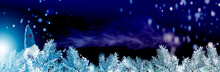 Christmas Background, Banner, Imp In The Winter Forest, Greeting Card