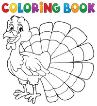 Coloring Book Turkey Bird Theme 1