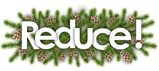 reduce in christmas background - pine branchs