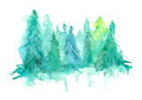 Fototapeta Na drzwi - Watercolor group of trees - fir, pine, cedar, fir-tree. green forest, countryside landscape. Drawing on white isolated background. Coniferous Misty Mystic Forest