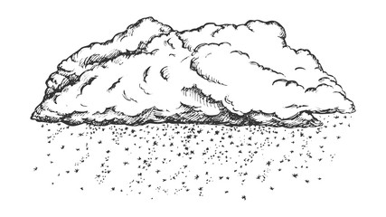 Poster - Cloud With Falling Snowflakes Monochrome Vector. Winter Season Sky Element Cloud With Snow. Cloudscape And Weather Engraving Concept Template Hand Drawn In Vintage Style Black And White Illustration