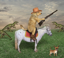 The Beige Dog Cowboy In A Brown Hat And Boots Astride The White Horse Grazes A Herd Of Dragons On Its Ranch. He Has A Rifle.