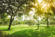 © rubiker94 - Beautiful pure sunrise morning in public park with green grass, tree and flower. Half moon park in Ho Chi Minh city, Vietnam.