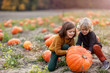 © pikselstock - Two little boys having fun in a pumpkin patch