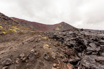 Poster - Volcanic landscape near Volcano Tolbachik in the overcast weather. Kamchatka Peninsula, Russia