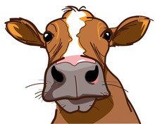 Farm, Curious Cow Looking At You - Vector Image
