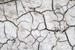 Gray land background cracked during drought with a small amount of dry grass