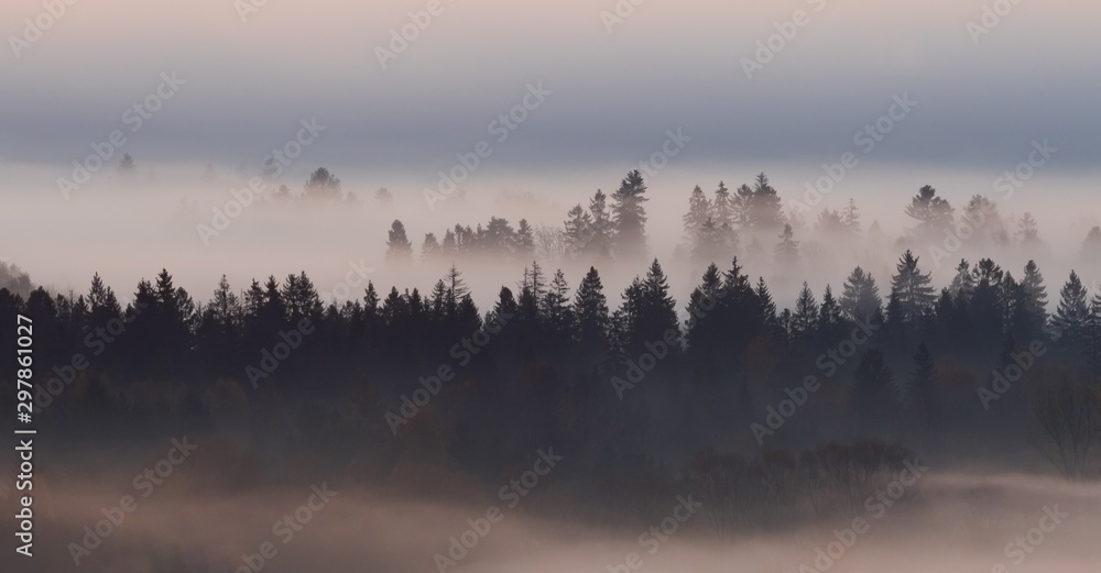 Obraz na płótnie góry we mgle w salonie