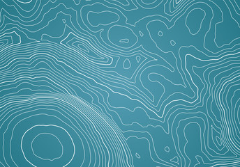 Leinwandbilder - Abstract topographic map background with height lines
