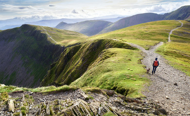 a hiker and their dog walking down from the summit of hopegill head with hobcarton crags to the left