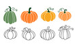 A set of pumpkins, black outlined and colored. Vector collection of cute hand drawn pumpkins on white background. Elements for autumn decorative design, halloween invitation, harvest  thanksgiving.