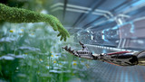 Fototapeta Morze - Green technology conceptual design, human arm covered with grass and lush and robotic hand, 3d render