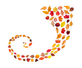 Wall Mural - spiral ornament from fallen leaves isolated
